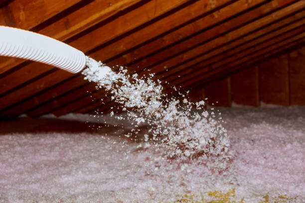 Best Fiberglass Insulation in Chenoa, IL