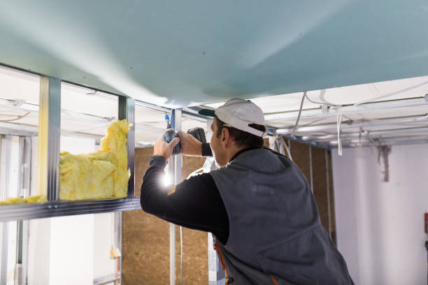 Best Geographic-Specific Insulation Services in Chenoa, IL