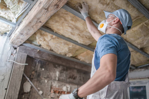 Trusted Chenoa, IL Insulation Contractor Experts