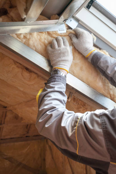 Best Energy Efficiency Insulation in Chenoa, IL