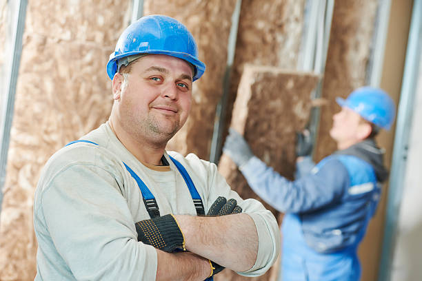 Best Energy Efficiency Insulation in Chenoa, IL