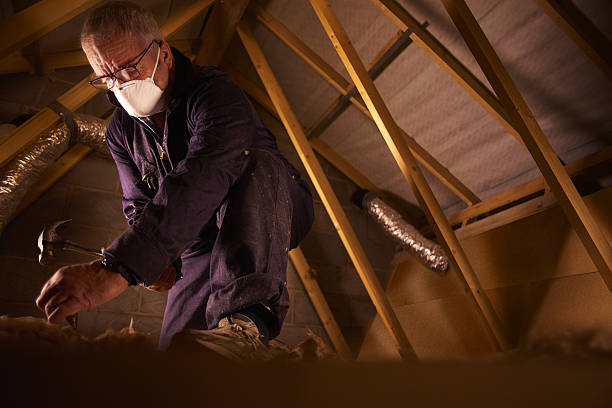 Best Eco-Friendly Insulation in Chenoa, IL