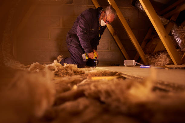 Best Insulation Maintenance and Repair in Chenoa, IL